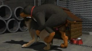 2 Dogs- Animated Yiff