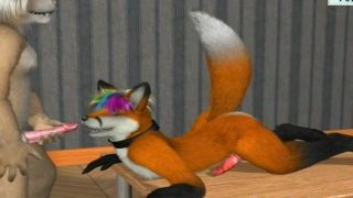 Straight/Gay Furry Porn Animation Compilation the thrid of vol 3