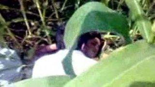 Indian village woman fucks tiny dick among shrubs